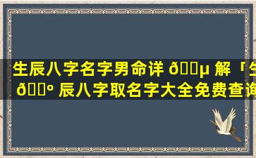 生辰八字名字男命详 🐵 解「生 🌺 辰八字取名字大全免费查询」